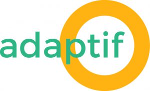 Case study: an Agile Coach for Adaptif